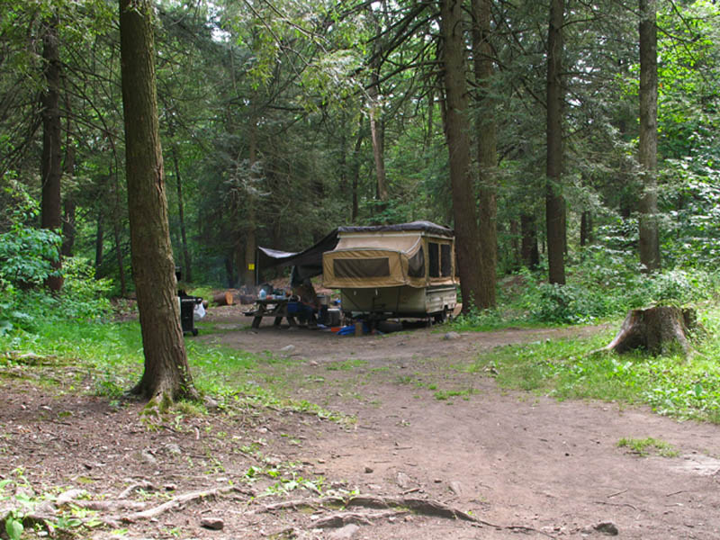 New York State Parks Camping http://www.stateparks.com/clarence 