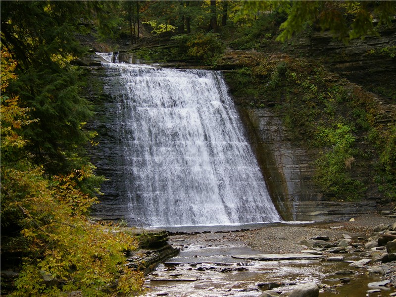 Stony Brook State Park, a New York park located near Dansville 