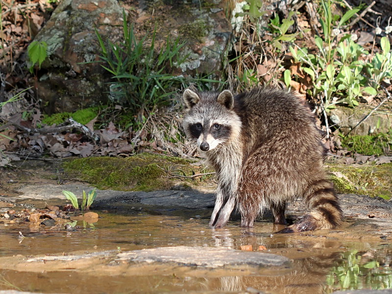 Oklahoma State Parks And Wildlife Jobs