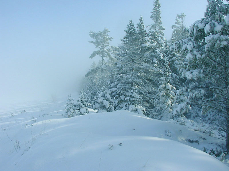 Wilderness State Park'Candle light cabin'