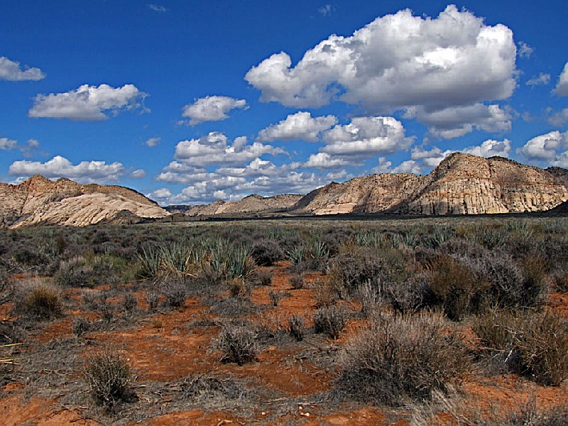 Snow Canyon State Park an Utah State Park located nearby Saint George 