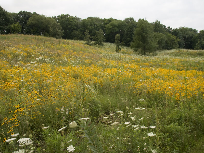 Moraine Hills State Park Location