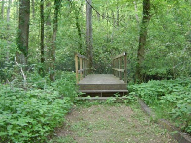 T.O. Fuller State Park trails are easy and enchanting.