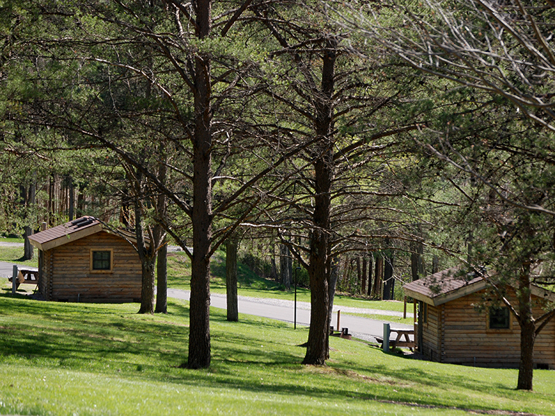 Кемпинг Пайн Бич. Camp Cabin. Camping pinewood 2 на русском