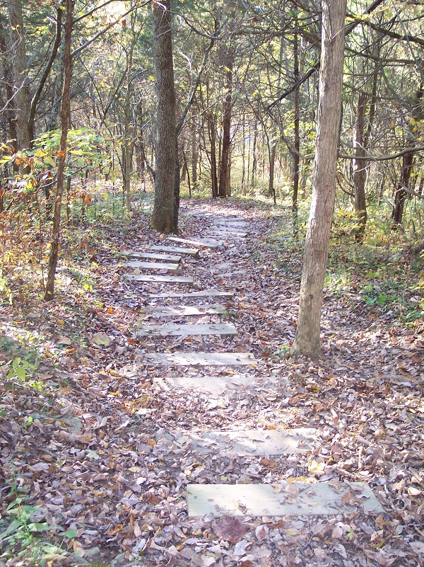 Versailles State Park, an Indiana State Park located near 