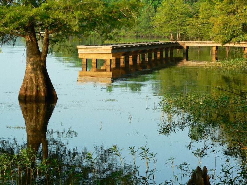 Lake D''Arbonne State Park, a Louisiana State Park located near West Monroe