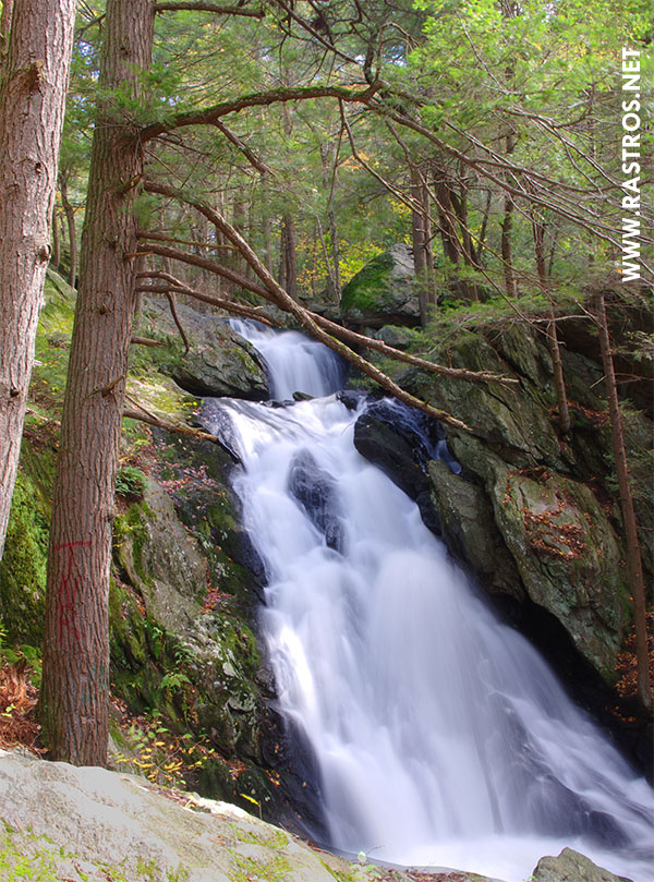 Mattatuck State Forest Trails