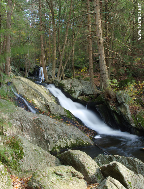 Mattatuck State Forest Thomaston Ct