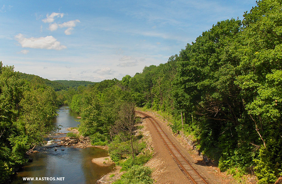 Mattatuck State Forest