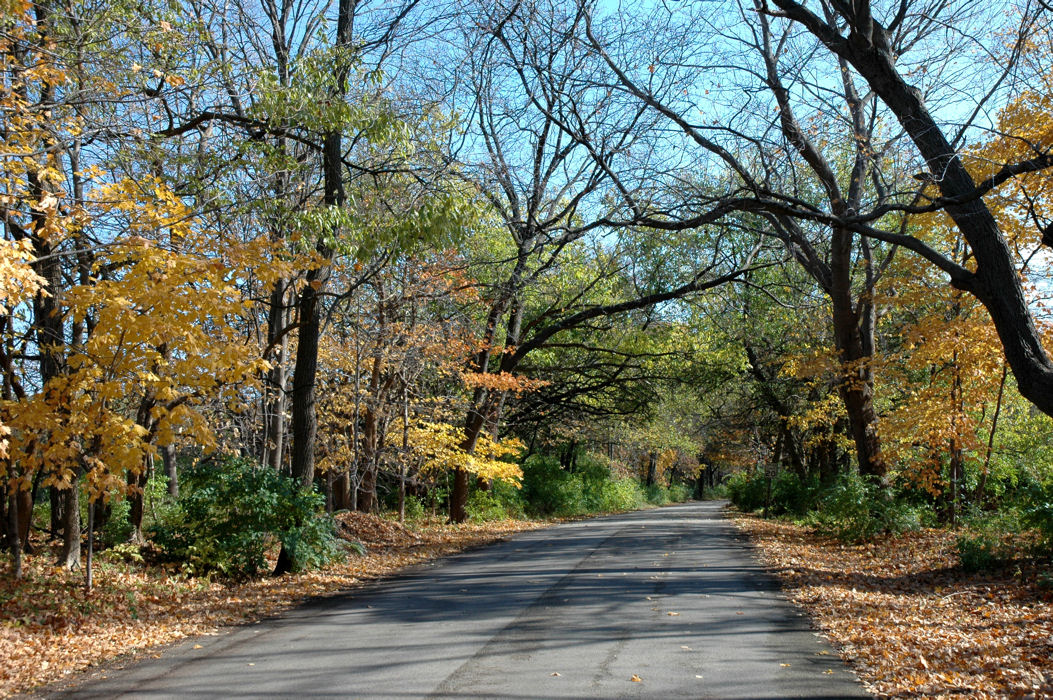 Jubilee College State Park Camping Reviews