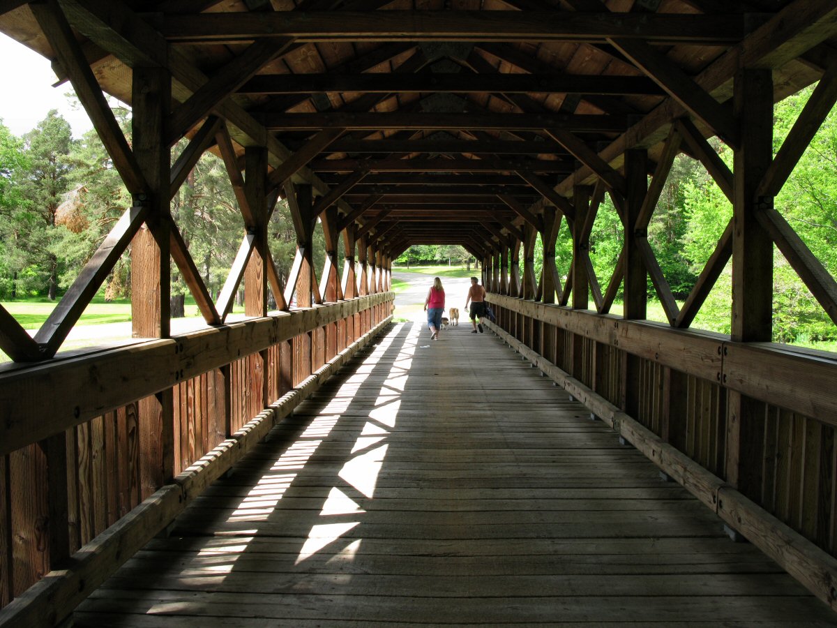 Allegany State Park, a New York State Park located near Bradford, Warren