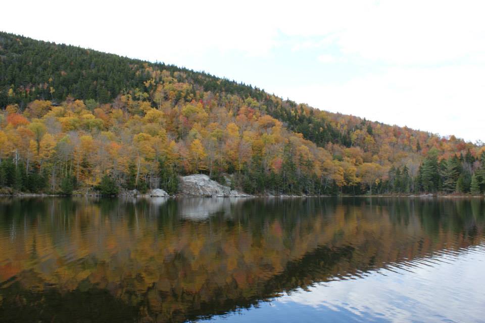 Green Mountain National Forest A Vermont National Forest Located Near 