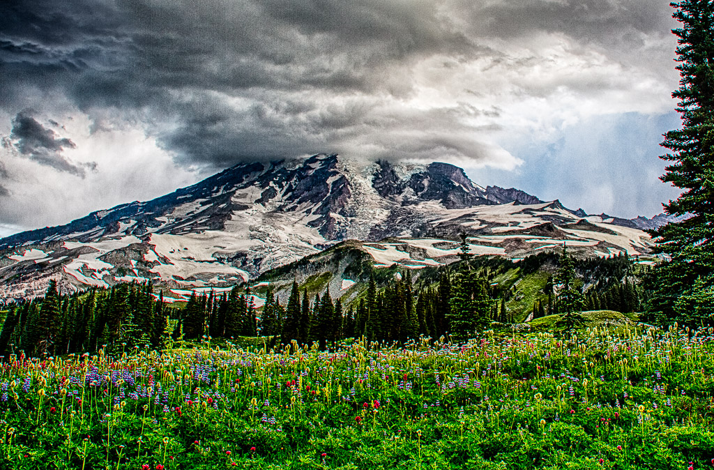 Mt Rainier National Park Fly Fishing