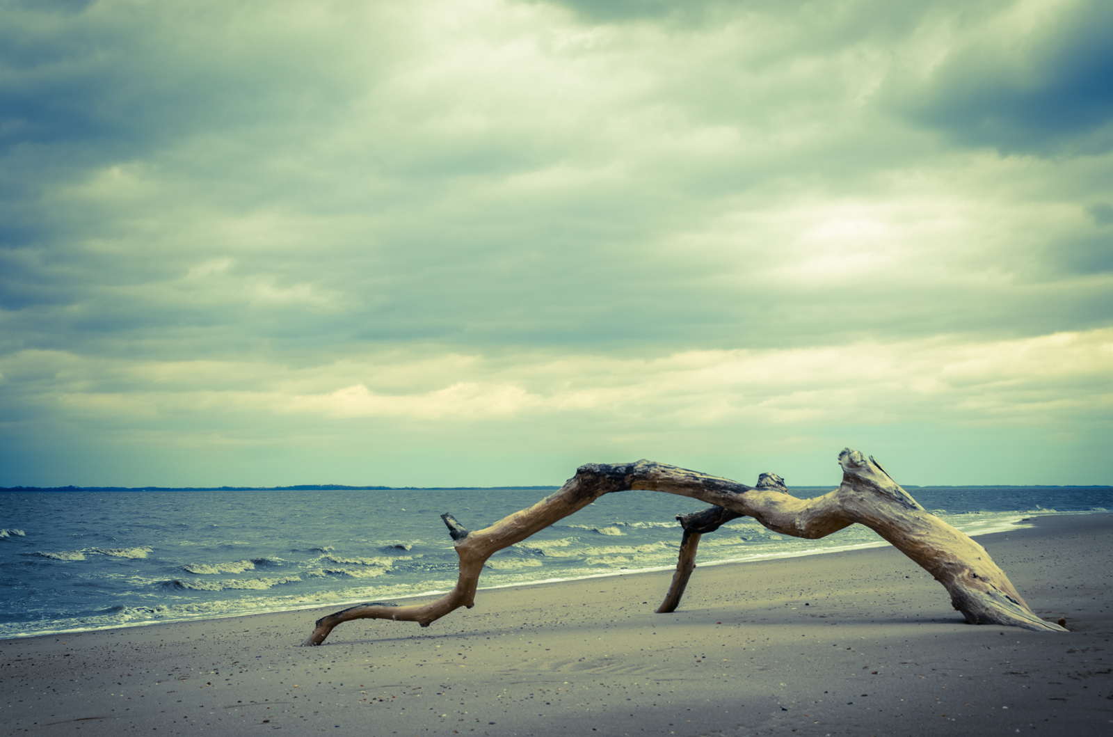 Woodland Beach State Wildlife Management Area A Delaware Nearby Parks