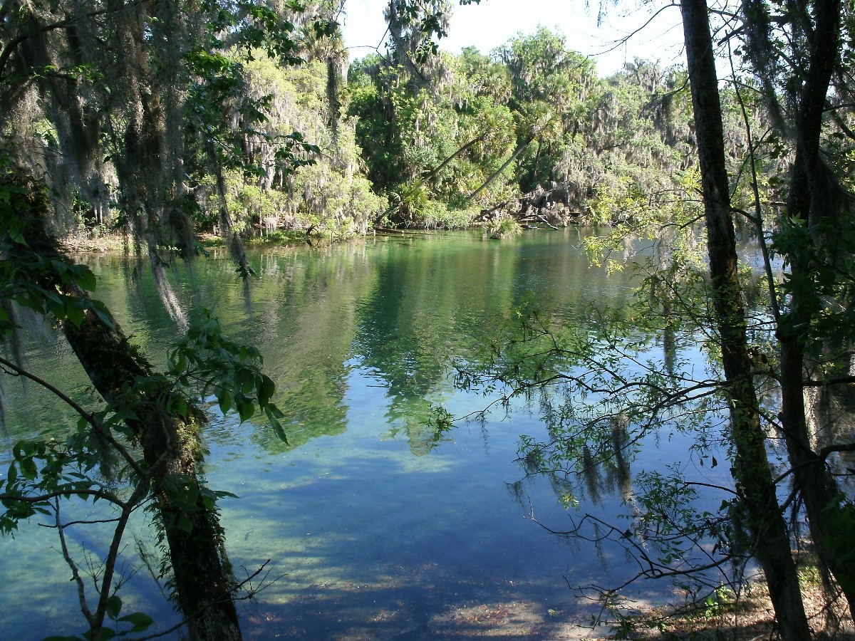 Spring Time  Florida State Parks