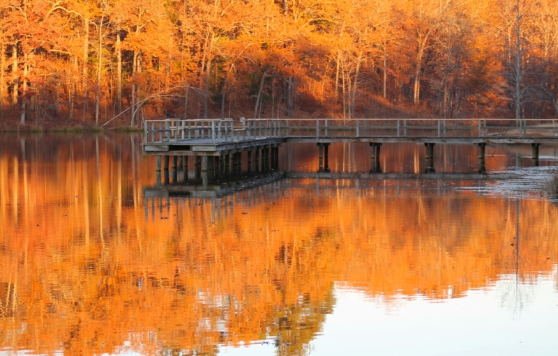 Tombigbee State Park, a Mississippi State Park located near Fulton,  Saltillo and Tupelo