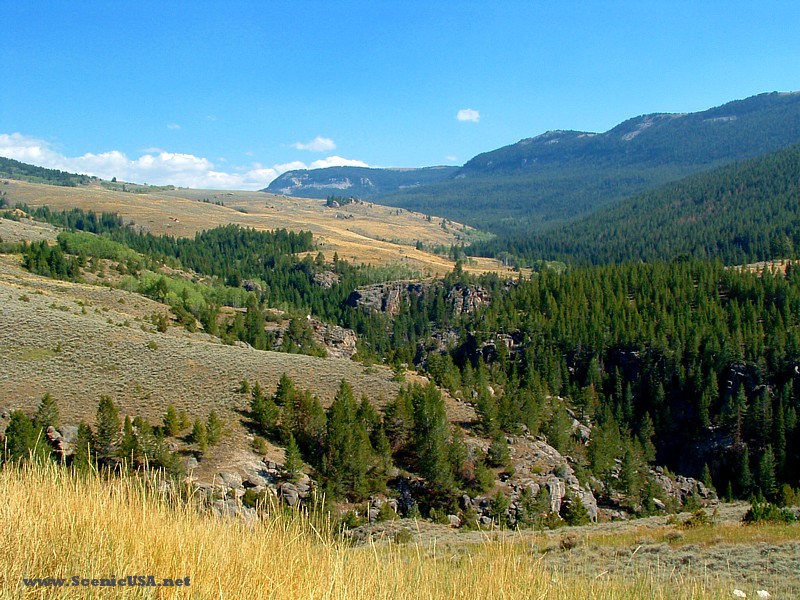 Bighorn National Forest, a Wyoming National Forest