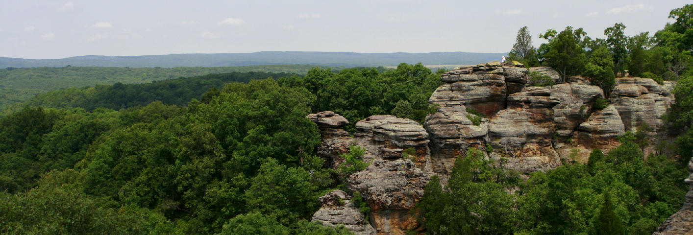 Shawnee National Forest An Illinois National Forest Located Near