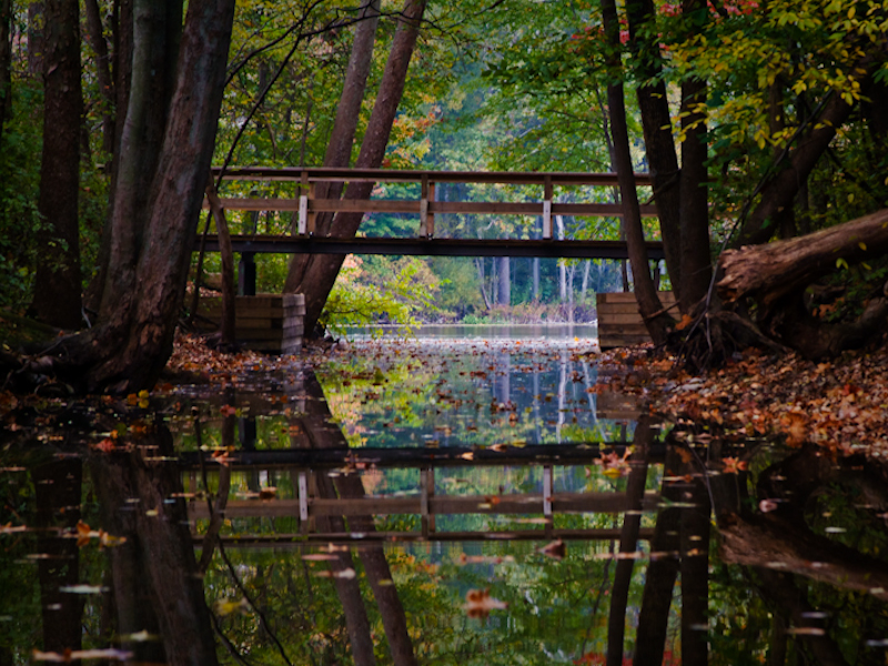Chain O''Lakes State Park, an Indiana State Park located near Columbia