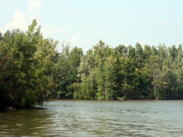 Indian Lake State Park, an Ohio State Park located near Bellefontaine,  Kenton and Lima