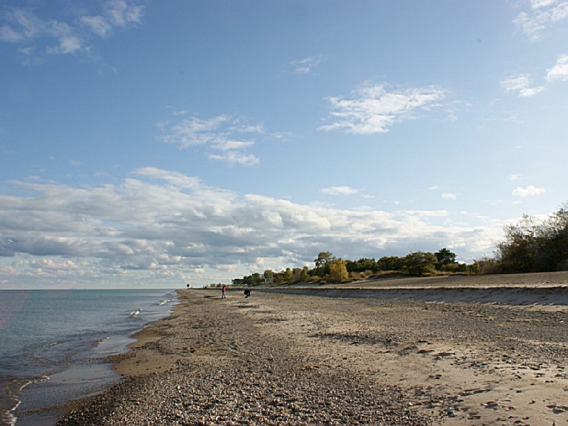 Image result for illinois state beach