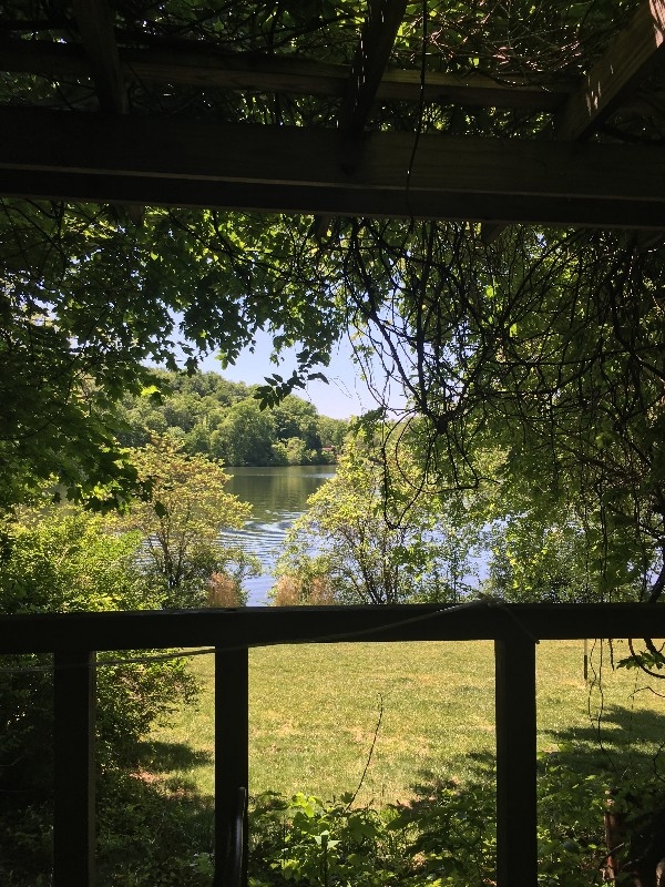 OLD LOG ON THE LAKE by At Lake Logan Country Cottages