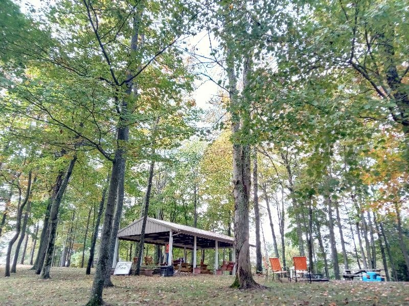 Shelter house and fire pit in the woods
