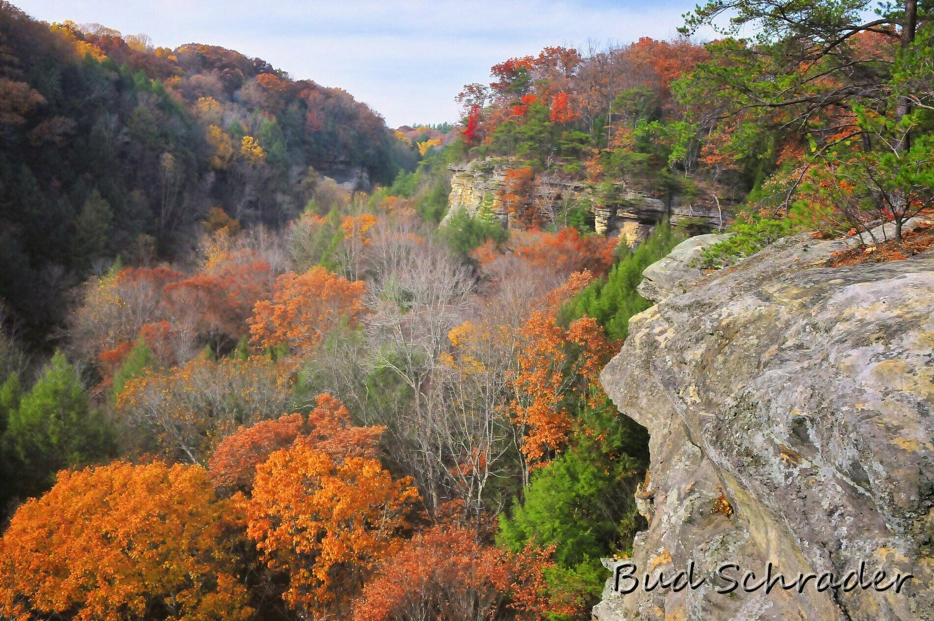 Conkle's Hollow: Where Ancient Trees Whisper Secrets