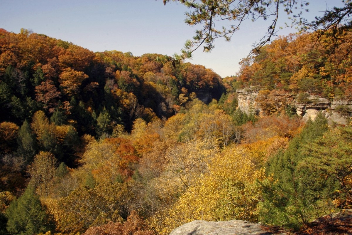 Conkle S Hollow State Nature Preserve Conkle S Hollow State Nature Preserve
