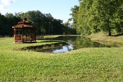 Pond/Gazebo - Bring your fishing poles.Lots of bass and bluegill awaiting your arrival.