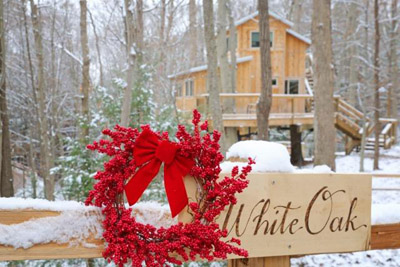 The White Oak at Hocking Hills Treehouse Cabins - Our first treehouse, The White Oak, sleeps up to 6 and is pet-friendly  Hocking Hills Treehouse Cabins