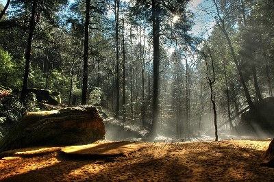 Misty Trail at Ash Cave - Following two days of steady rain I was able to run out at the first hint of sun and was greeted with this amazing scene. Shot in December.