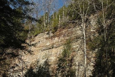 The Gorge At Cedar Falls - You don