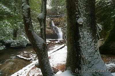 Snowy Trees, Cedar Falls - More of that snow that I like.