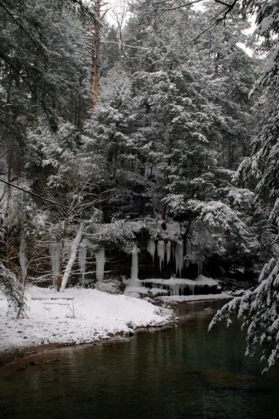 Stream at Cedar Falls