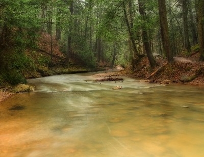 Down Stream from the Falls